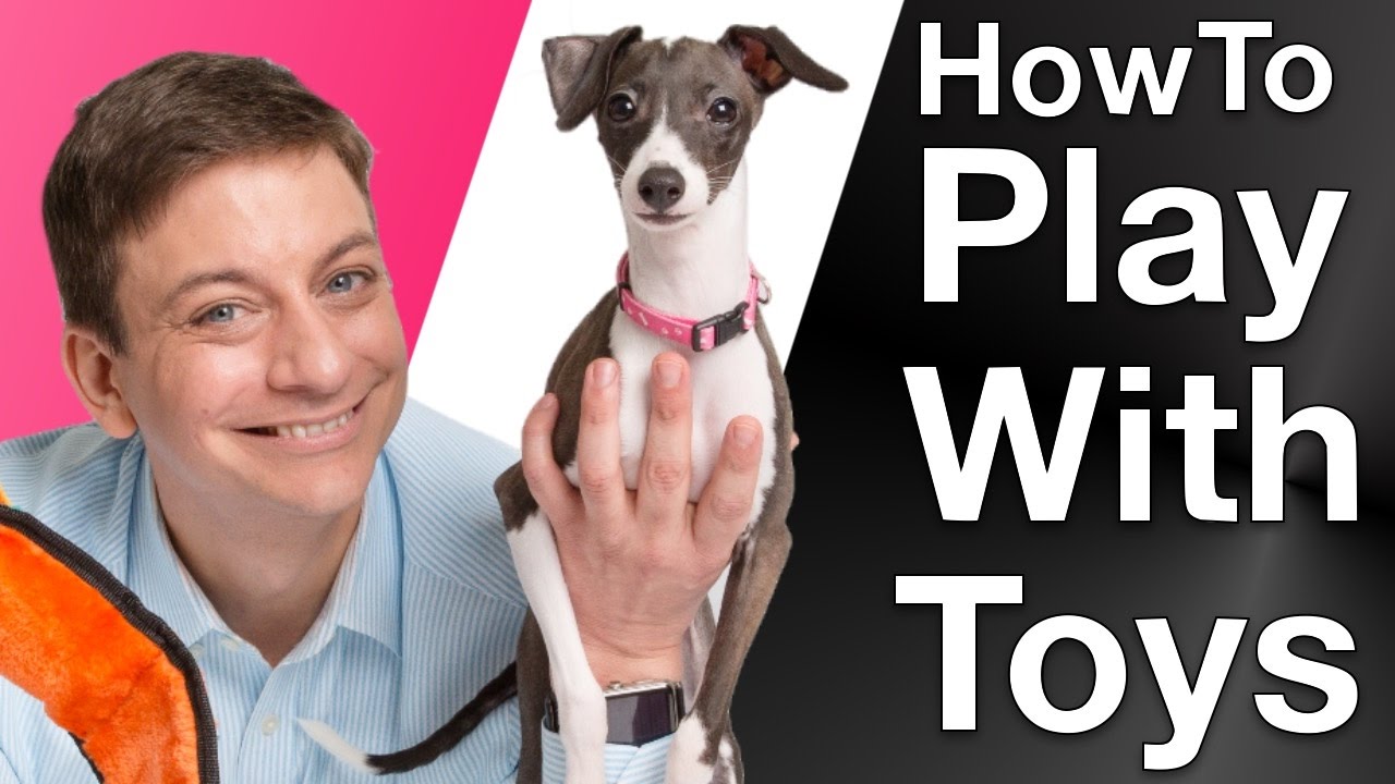 3 Ways to Get your Dog Playing!