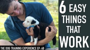 6 Things That Will Make it EASY to Train Your Dog!