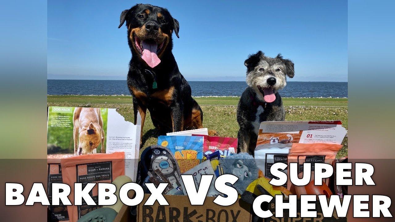 BarkBox VS Super Chewer Box: Which one is right for YOUR dog?