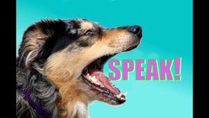 Easy, Dog Trick: How to Teach your Dog to Speak or Bark When you Ask.