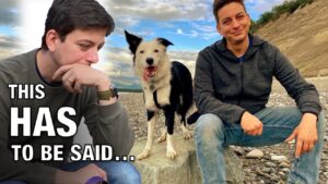 I’m shocked that this video is controversial. What I Think About So-Called “Balanced Dog Training”