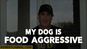 Food Aggressive Dogs - Dog Training Tips