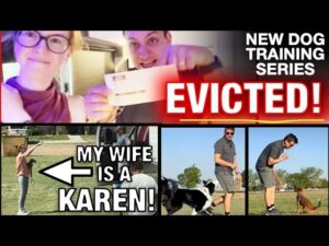 If you haven’t watched lately… We’re living in Kansas, training our dogs, and getting evicted￼.