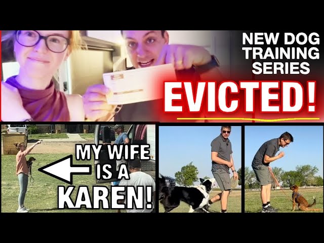 If you havenâ€™t watched latelyâ€¦ Weâ€™re living in Kansas, training our dogs, and getting evictedï¿¼.