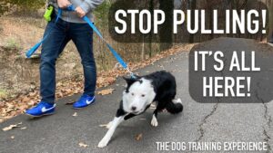 How To STOP LEASH Pulling From Start to Finish!