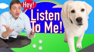 How to Train your Dog to Listen to you in Real Life!