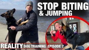 I HAVE to get this dog to STOP BITING & JUMPING! REALITY Dog Training.