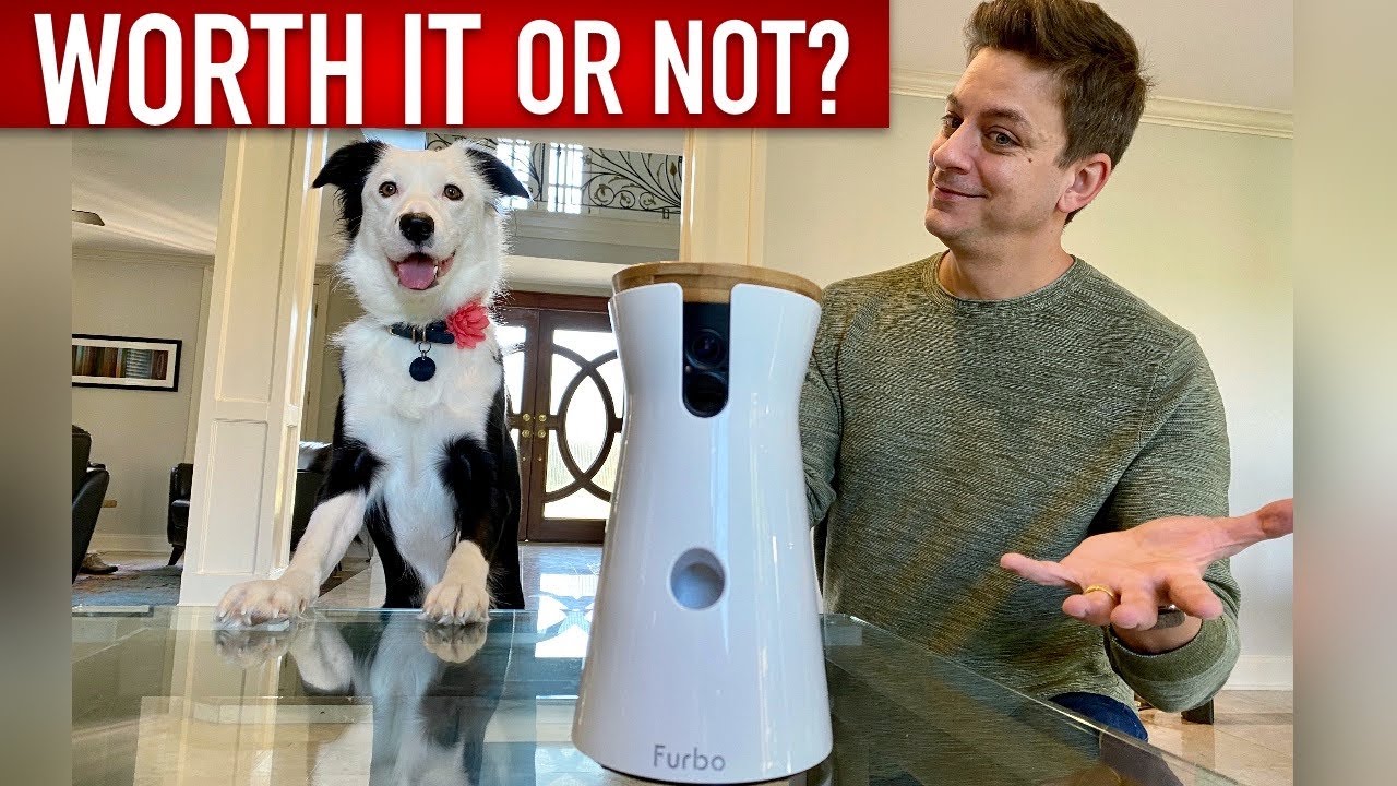 Is the Furbo Dog Camera Really Worth it?