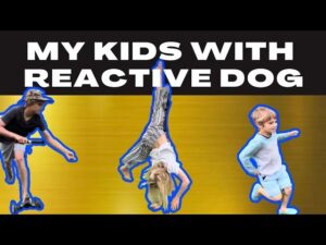 My step-by-step process for introducing my kids to a reactive dog.