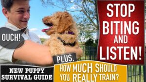 Stop Biting and Train Your Dog to Listen to Everything You Say! NEW PUPPY SURVIVAL GUIDE