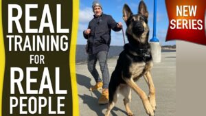 Reality Dog Training REVEALED!