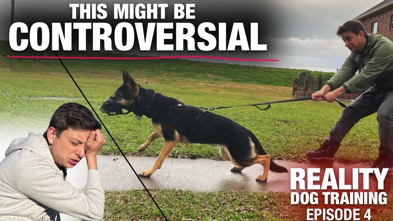 This is my LAST CHANCE... We’re not even close. Reality Dog Training Episode 4
