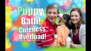 Teach YOUR Dog to LOVE Getting a Bath!