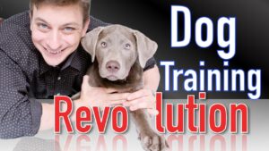 The Future of the Dog Training Revolution