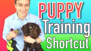 The Puppy Training Shortcut: Clicker Training Explained