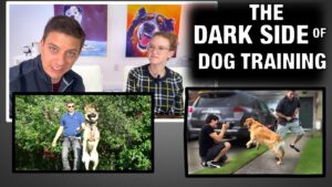 THE BADDEST DOGS I’ve Trained! A Lot will DISAGREE with What I Say in This Video