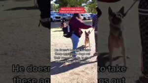 Dog Daddy Proves Aggressive Dogs Just Need Their Owners Trained.