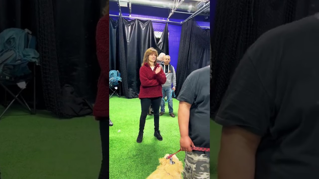 Watch Me Tame 2 Dozen Dogs & Train Their Owners In A Single Class.