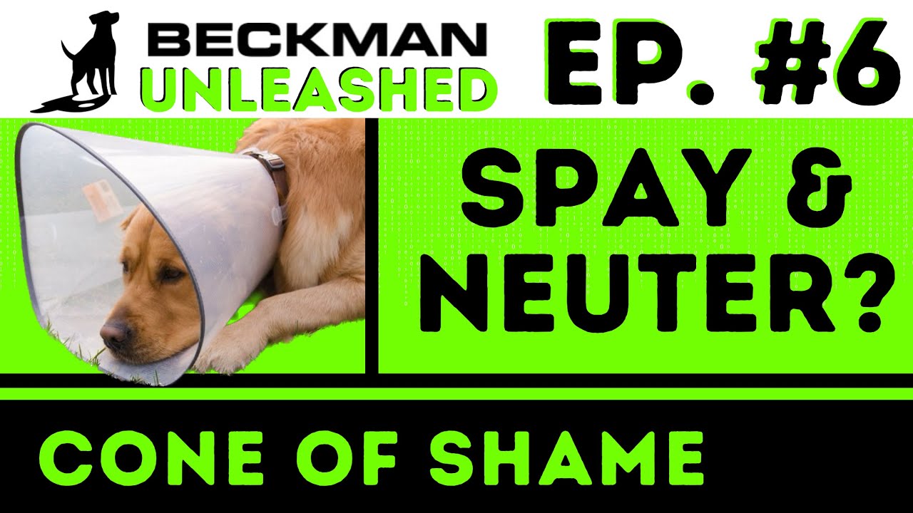 The Good, Bad & Ugly of Neutering your Pet - Veterinarians Trigger Joel - Beckman Unleashed Ep. 6
