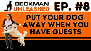 Either Train Your Dog or Put It Away When You Have Guests, Dog Breed Challenge and other Craziness!