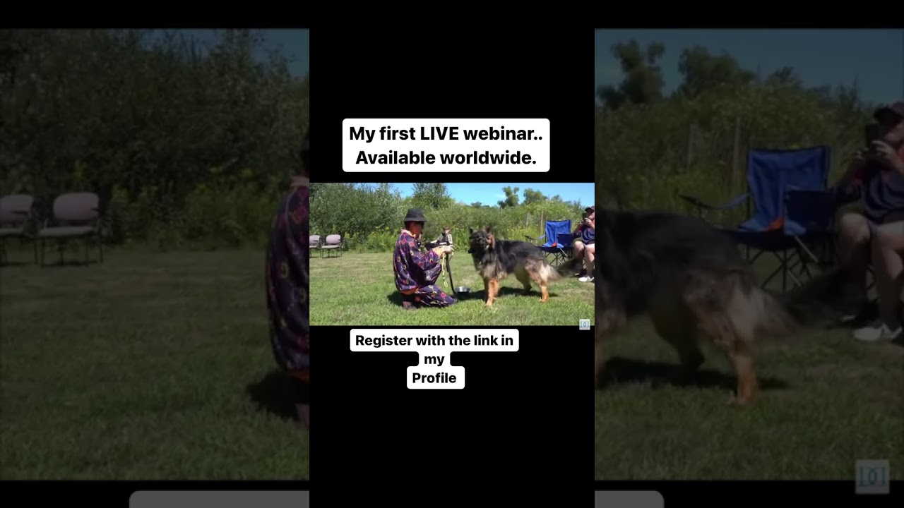My First Dog Training Webinar, Available Worldwide!