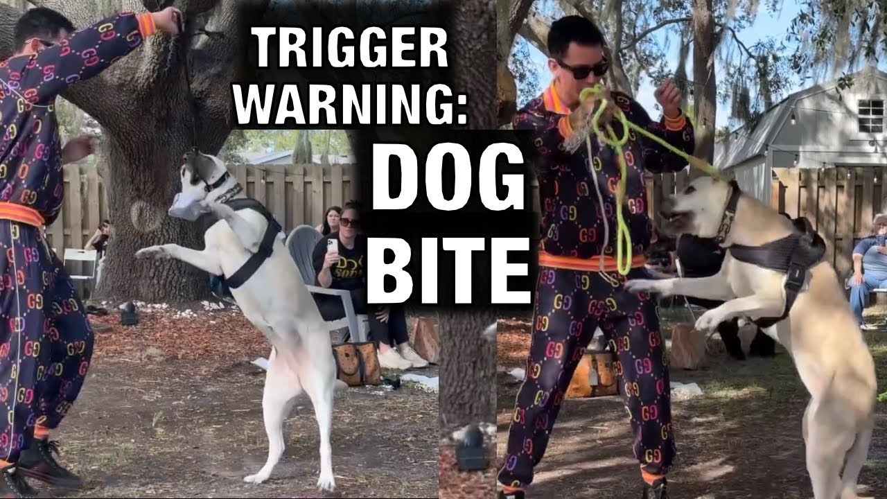 Exposed: What Really Happened at “dog daddy”Augusto Deoliveira’s Tampa event. TW: Dog Bite