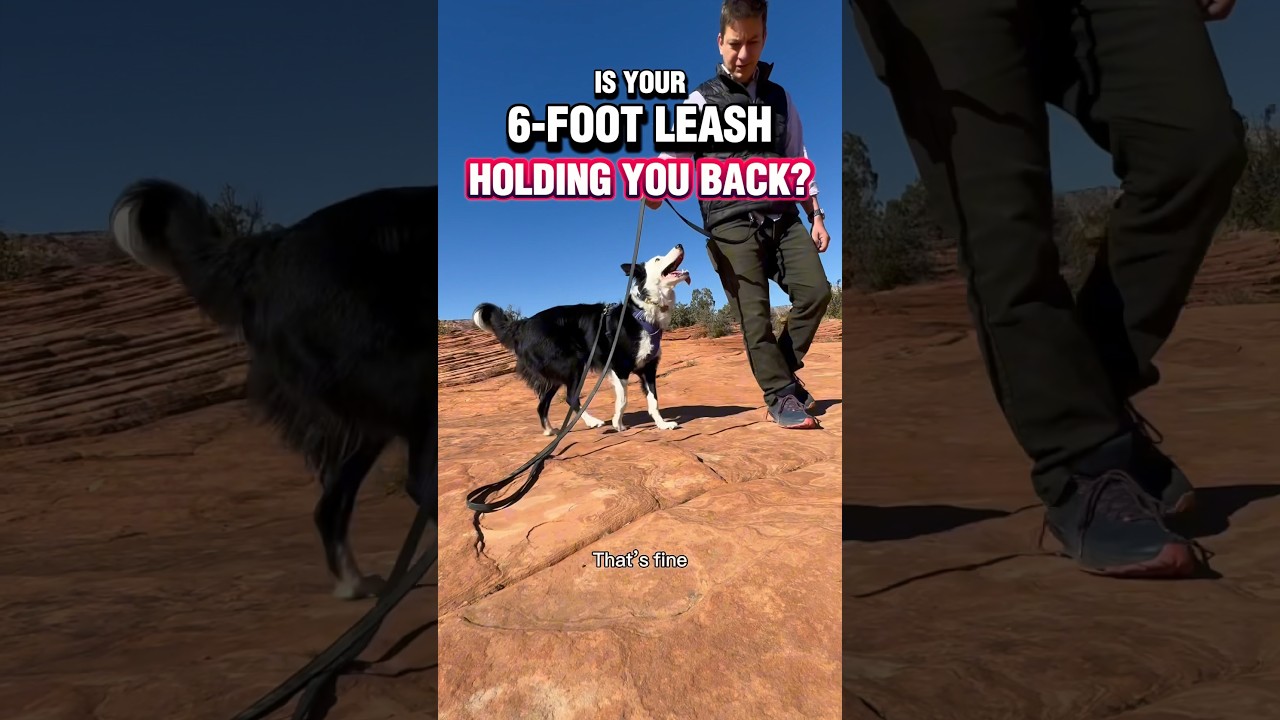 Is your 6-foot leash holding you back? #dogtrainer #dogtraining #puppytraining #leashwalking #dogs