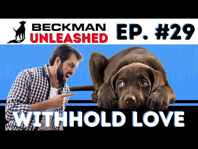 Many People Touch Their Dog Too Much, Why is this BAD? Joel Gets a Death Threat. Ep.29