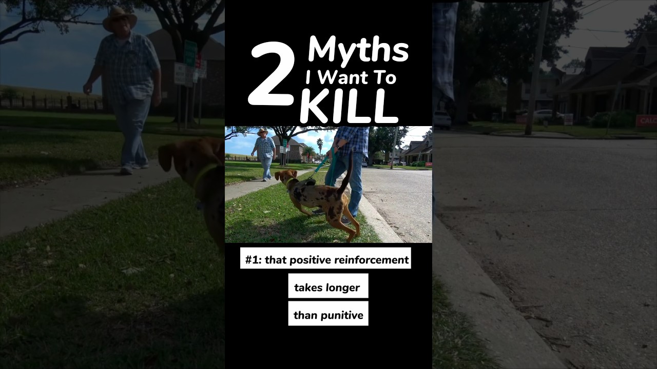 2 Myths I Want to Kill ☠️