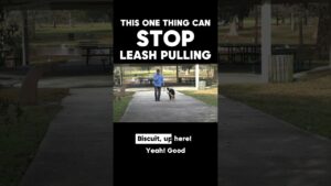 How to STOP LEASH PULLING with One Easy Skill  👀