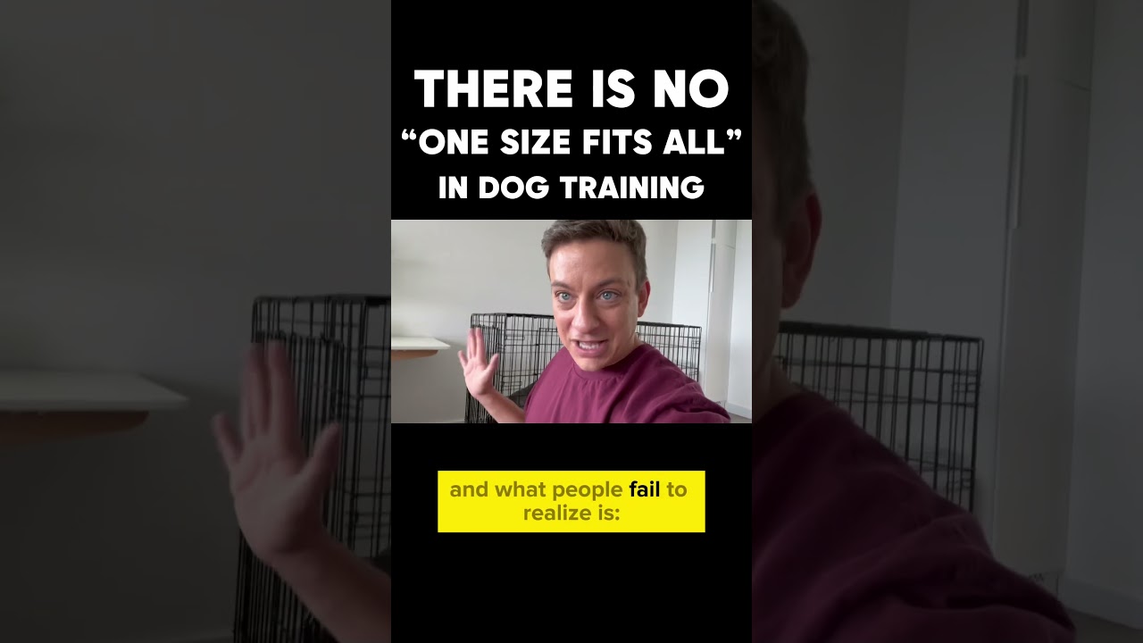 There is NO “One Size Fits All” Approach in Dog Training