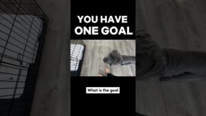 You Have ONE Goal…