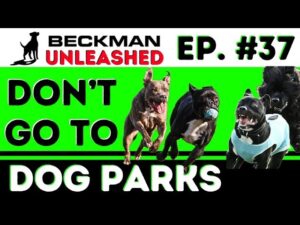 The only dog at the dog park that can kill my dog & why I'm done with dog parks. And MUCH more.