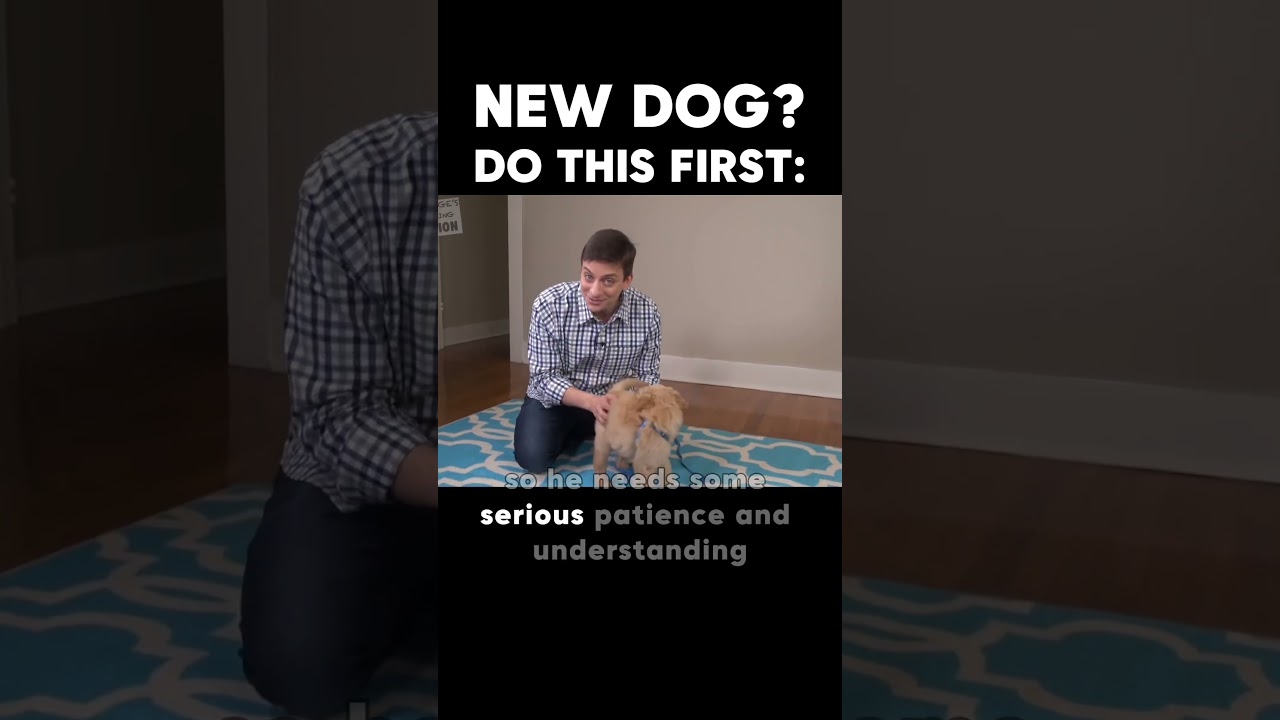 New Dog? Do This First!