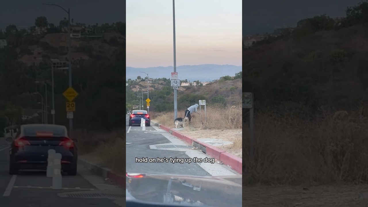 Dog getting dumped while they don’t suspect anyone is watching.